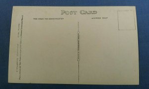 Vintage Real Photo  Postcard London In Trafalgar Square  F1F