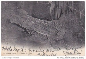 The Fallen Tower Caverns Of Luray