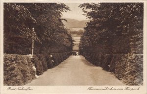 A220 Germany 1920 Bad Salzuflen Tannenwaeldchen Kurpark Forest postcard