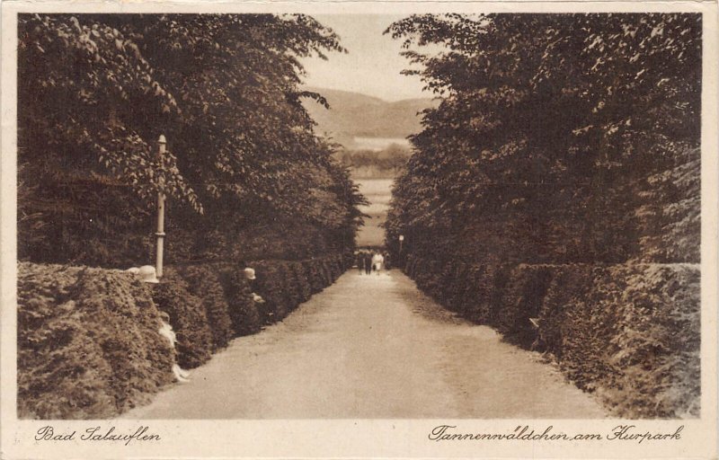 A220 Germany 1920 Bad Salzuflen Tannenwaeldchen Kurpark Forest postcard