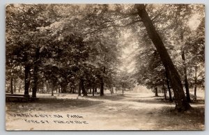 RPPC Northwestern Park Forest Preserve Illinois Real Photo Postcard B31
