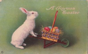 Postcard Albino Rabbit Pushing Egg cart 1921