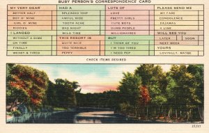 Vintage Postcard Busy Person's Correspondence Card Lake Sunset View