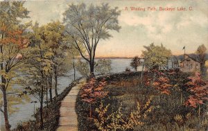 J68/ Buckeye Lake Newark Ohio Postcard c1910 Winding Path Shore 261