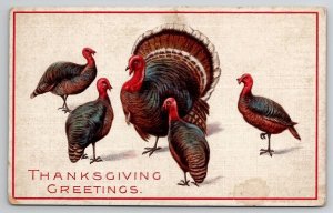 Thanksgiving Greetings  Mama Turkeys Preparing the Little Ones Postcard F27