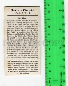 428246 GERMANY OWL Vintage ADVERTISING chocolate Stollwerck card