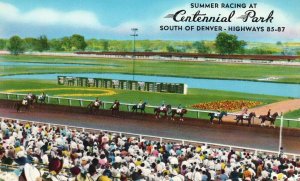 Vintage Postcard Summer Racing Centennial Park South of Denver Highway Colorado