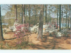 Pre-1980 CALLAWAY GARDENS Pine Mountain City by Clayton & Columbus GA AF6609