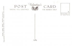 Dog ,  Boxer , Sealyham , Cocker Spaniel