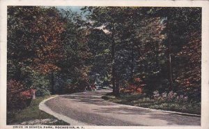 New York Rochester Drive in Seneca Park 1919