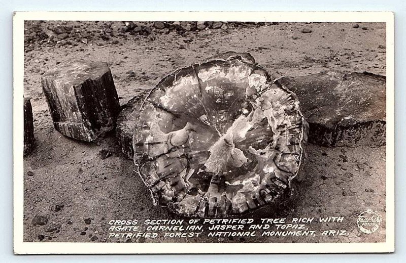 RPPC PETRIFIED FOREST, AZ Arizona~ AGATE, JASPER Tree Cross Section 1945 Frasher