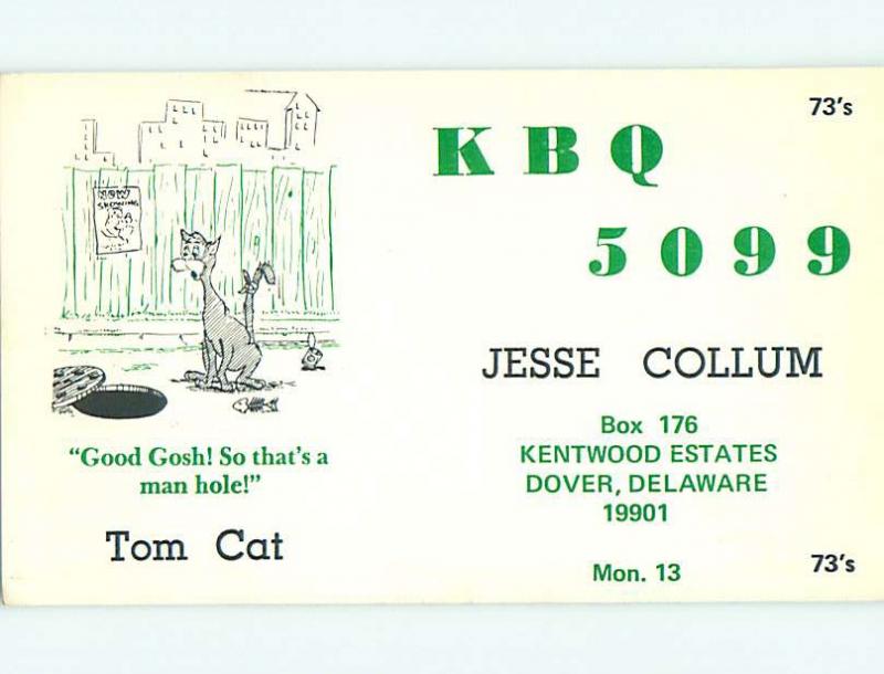 cat - QSL CB HAM RADIO CARD Dover Delaware DE t8710