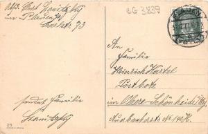 BG3839 bell neujahr  new year fir branch  germany greetings