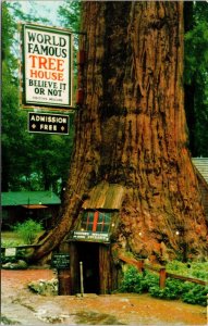 Tree House Redwood Highway California CA Tallest One Room Postcard VTG UNP  
