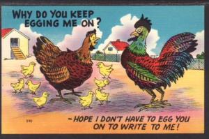 Why Do You Keep Egging Me On? Chickens Comic Postcard 4038