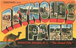 North Carolina Reynolds Park Large Letters multi View Teich Postcard 22-6530