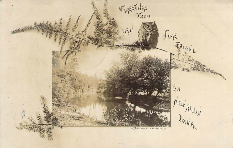 Owl On A Branch Real Photo Over River In New Albin, IA Postcard