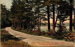 Postcard NY Richfield Springs Pine Grove Drive along Canadaraga Lake 1911