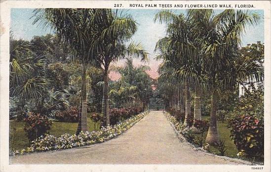 Florida Royal Palm Trees And Flower Lined Walk Florida 1926