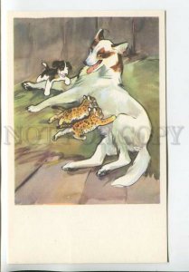 465238 USSR 1969 year Stroganova Alekseev Moscow Zoo dog with little jaguars