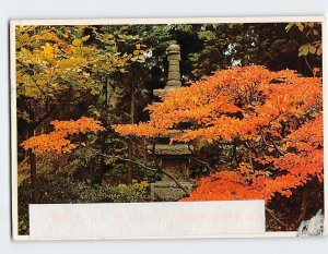 Postcard In the Japanese Garden Washington Park Portland Oregon USA