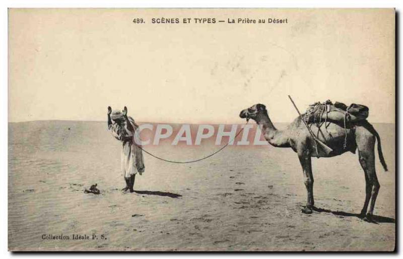 Old Postcard Scenes And Types Prayer Desert Camel