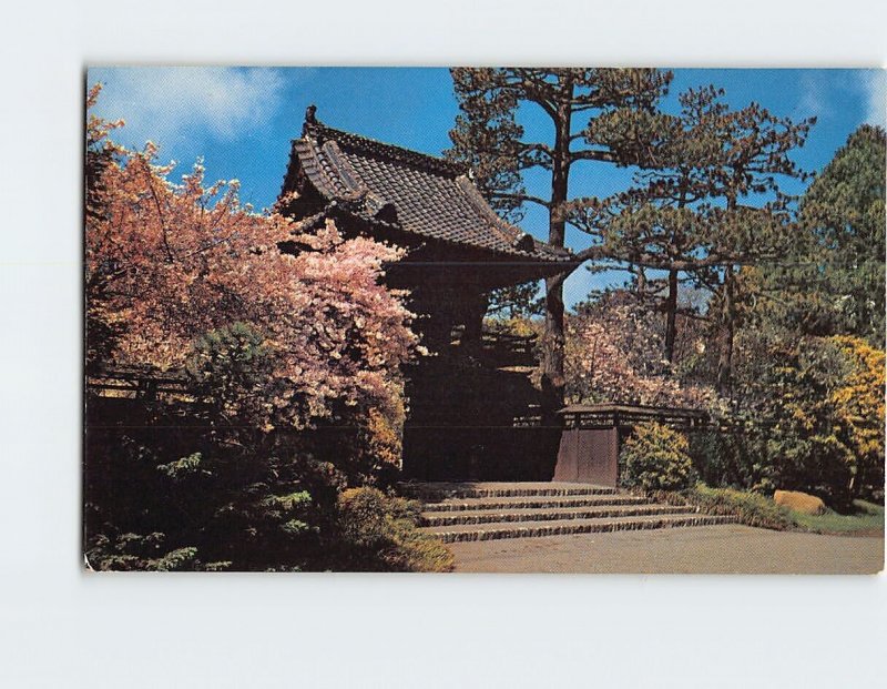 Postcard Oriental Tea Garden, Golden Gate Park, San Francsico, California