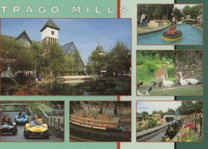 Trago Mill Motor Racing Dinghy Sailing Devon 1980s Postcard