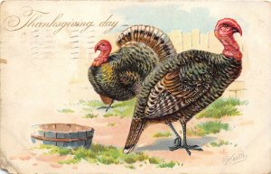 THANKSGIVING DAY 1907 Postcard Artist Signed RJ Wealthy Pair of Turkeys by Tucks