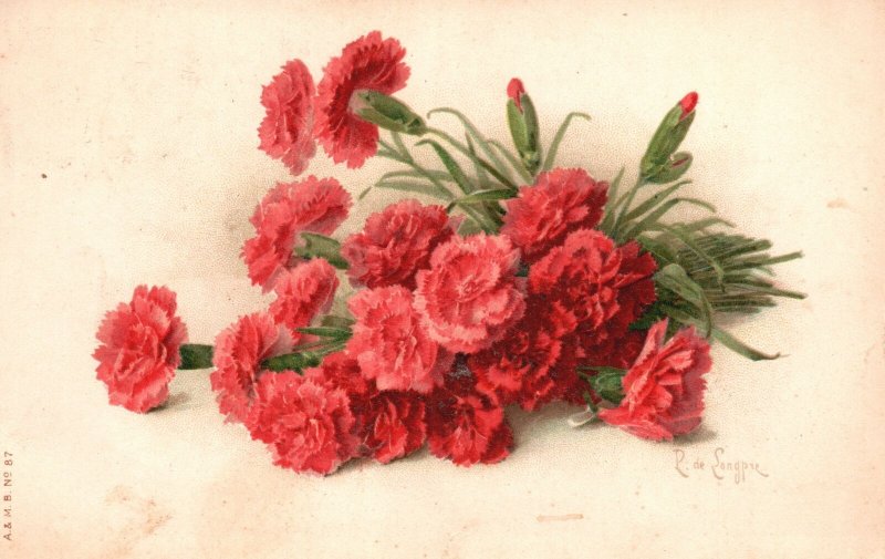 ?Vintage Postcard 1915 Victorian Carnation  Beautiful Flowers Grayson County Art