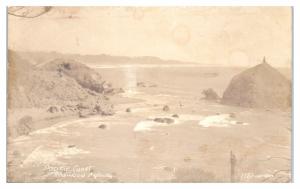 RPPC California Pacific Coast along the Redwood Highway, US Route 101 Postcard