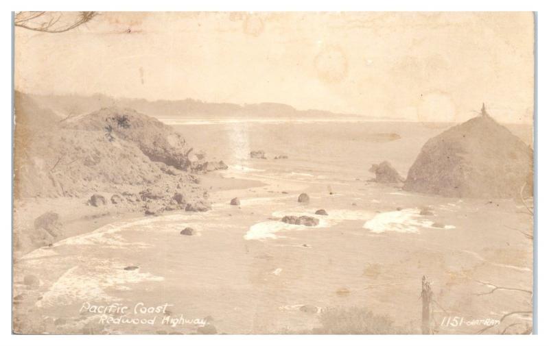 RPPC California Pacific Coast along the Redwood Highway, US Route 101 Postcard