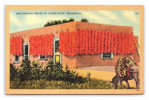 Postcard Chili Peppers Drying On Adobe House New Mexico Donkey Burro