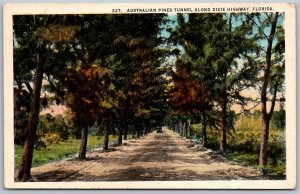 Dixie Highway Florida 1920-30s Postcard Australian Pines Tunnel Car