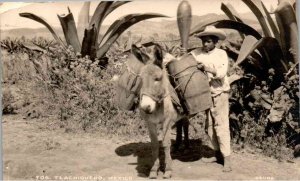 RPPC - Tlachiquero, Mexico - Boy with Water Barrels on his Burro - in 1936