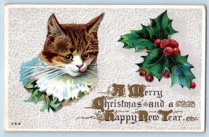 Worcester MA Postcard Christmas New Year Cat Kitten Holly Berries Embossed 1910