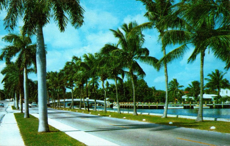 Florida Fort Lauderdale Las Olas Boulevard