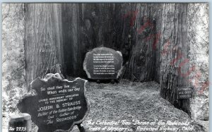 c1950s Redwood Hwy CA RPPC Shrine Cathedral Tree Monument Mystery God Poem A164