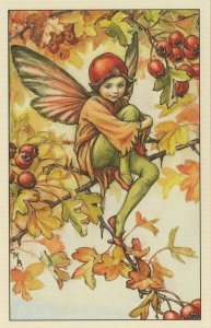 Hawthorn Fairy Of Antique Flower Fairies Book Stunning Postcard