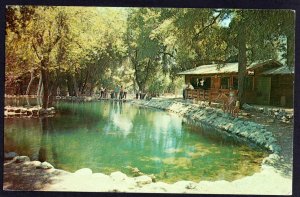 California Mount Baldy Trout Ponds 6945 Mt Baldy Rd - Chrome