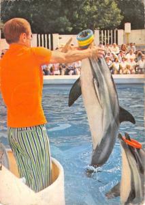 BR71983 dolphin dauphin constanta delfinariu romania   animal animaux