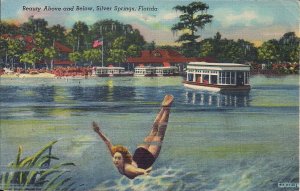 Silver Springs FL, Beautiful Woman, Swimsuit, Diving, Pretty Girl, Teich 1954