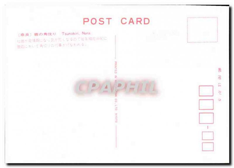 Postcard Modern Tsonukin Nara