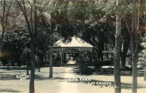 1939 City Park, Las Cruces New Mexico  Vintage RPPC Postcard