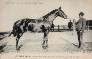 Cymbalier La France Chevaline 1902 Race Horse Antique PB Postcard