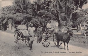 SRI LANKA CEYLON COLOMBO Rickshaw and Bullock Hackery ~PHOTO POSTCARD