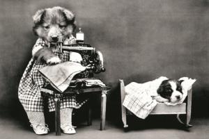 Dog sews clothes to a puppy SEW Machine FUNNY PETS Photo Russian Modern postcard