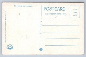 JH4/ Daytona Beach Florida Postcard c1910 Williams Hotel Building 53