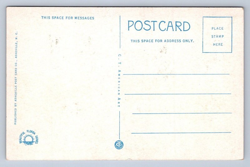 JH4/ Daytona Beach Florida Postcard c1910 Williams Hotel Building 53