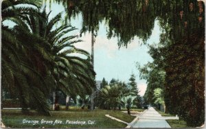 Orange Grove Avenue Pasadena CA California Residential c1908 Newman Postcard F55